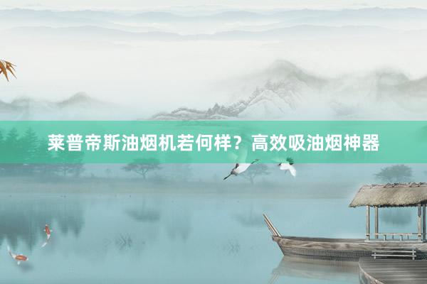 莱普帝斯油烟机若何样？高效吸油烟神器